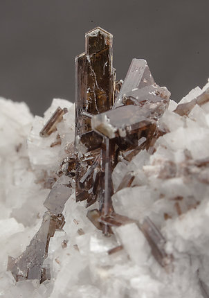 Dissakisite-(Ce)/Allanite-(Ce) with Dolomite. 