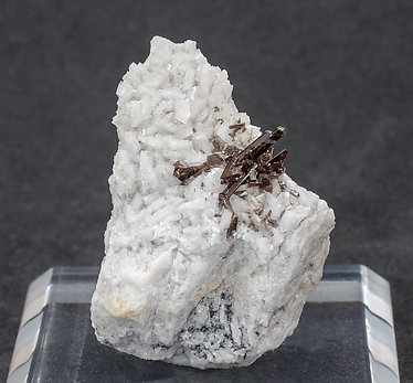 Dissakisite-(Ce)/Allanite-(Ce) with Dolomite.