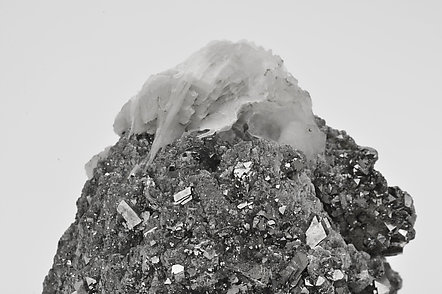 Löllingite with Arsenopyrite, Calcite and Quartz. 