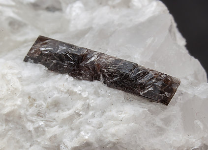 Dissakisite-(Ce)/Allanite-(Ce) with Dolomite and Talc. 