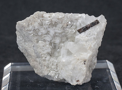 Dissakisite-(Ce)/Allanite-(Ce) with Dolomite and Talc. 