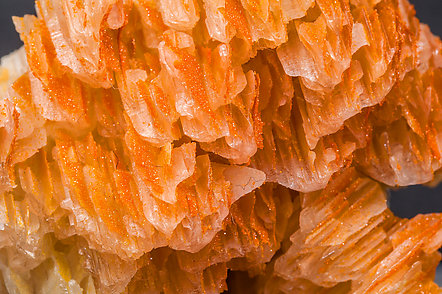 Mimetite (variety Chromium-rich) with Cerussite. 