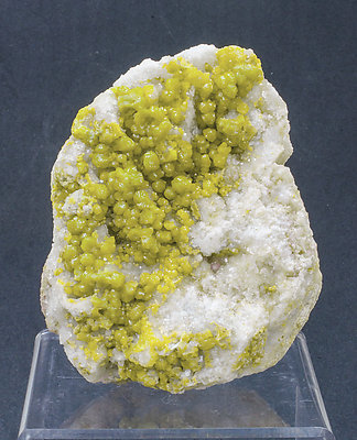 Pyromorphite on Quartz. 