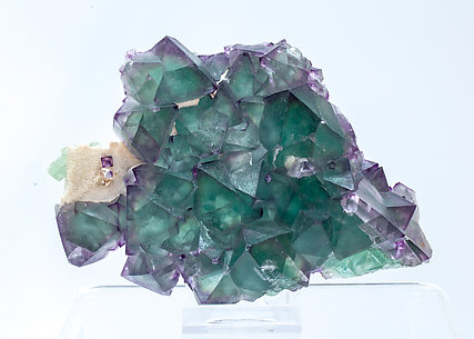 Fluorite with Quartz.