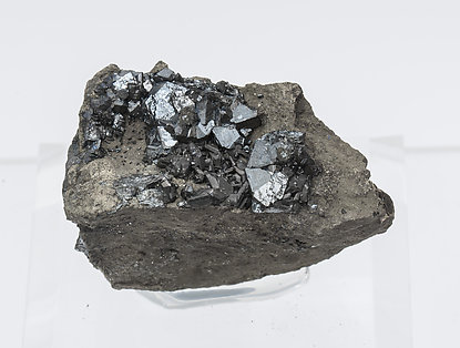 Chalcocite with Pyrite. 