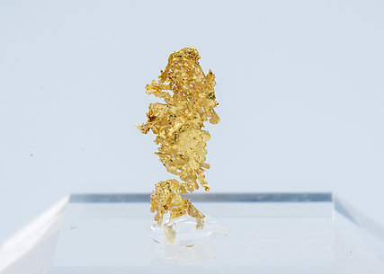 Gold (variety electrum). 