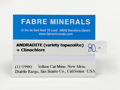 Andradita (variedad topazolita) con Clinochloro