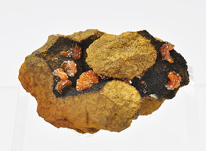 Vanadinite with Siderite.