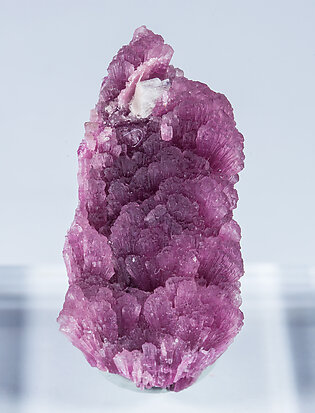 Elbaite-Schorl Series (variety 'mushroom') with Quartz. Front