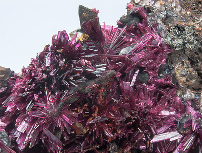 Erythrite with Phlogopite. 