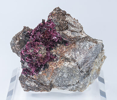 Erythrite with Phlogopite. 