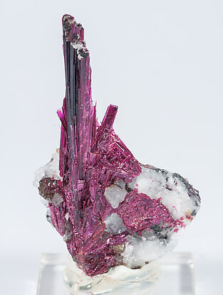 Erythrite with Quartz. Front