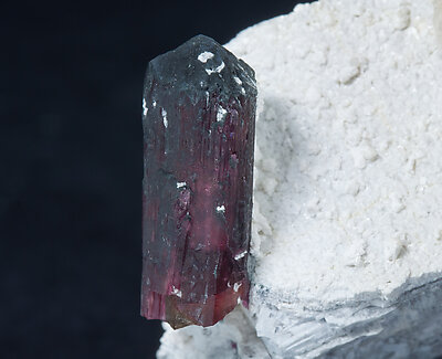 Elbaite-Schorl Series (variety rubellite). 