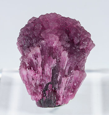 Elbaite-Schorl Series (variety mushroom). Rear