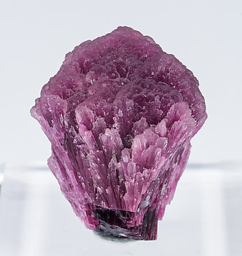 Elbaite-Schorl Series (variety mushroom).