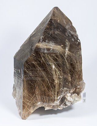 Quartz (variety smoky) with Rutile inclusions. 