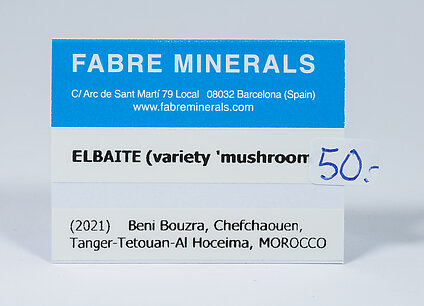 Elbaite-Schorl Series (variety 'mushroom')