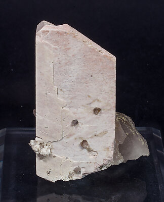 Microcline with Quartz and Clinozoisite-Epidote. 