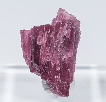 Elbaite-Schorl Series (variety 'mushroom'). Rear