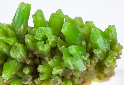 Pyromorphite. 