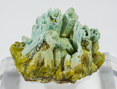 Pyromorphite with Plumbogummite. Front