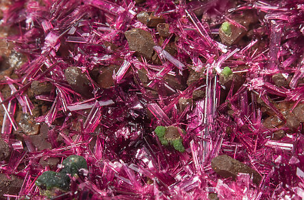 Erythrite with Phlogopite. 