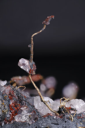 Silver with Rhodochrosite and Acanthite, Quartz, Calcite. Detail / Photo: Joaquim Calln