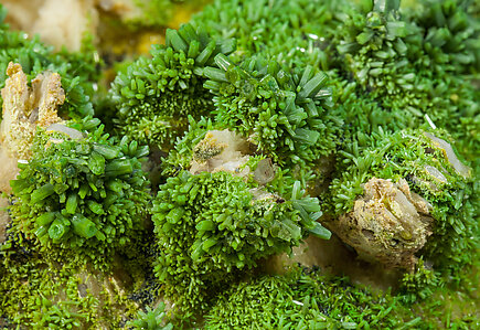 Pyromorphite on Baryte. 