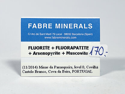 Fluorita con Fluorapatito, Arsenopirita y Moscovita