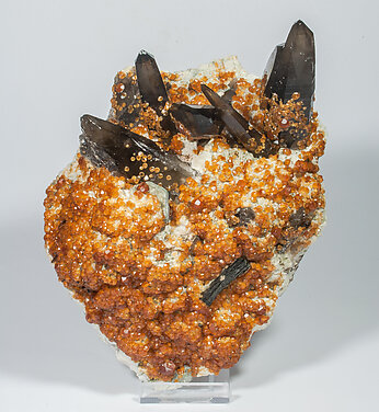 Spessartine with Quartz (variety smoky), Feldspar and Mica.