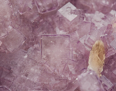 Fluorite with Baryte. 