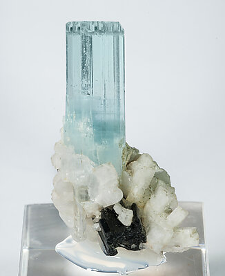 Beryl (variety aquamarine) with Albite and Schorl. Front