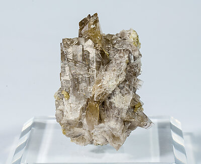 Axinite-(Fe) with Epidote. Rear