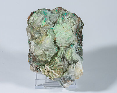 Conichalcite with Baryte and Gypsum.