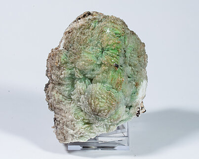 Conichalcite with Baryte and Gypsum. 