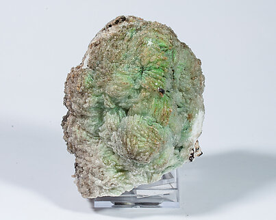 Conichalcite with Baryte and Gypsum.