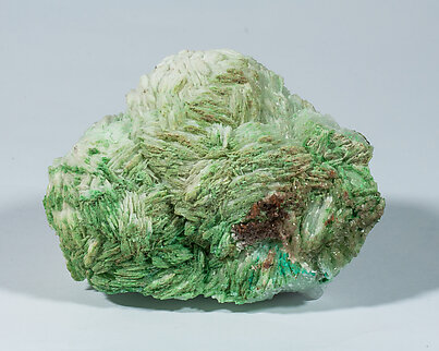 Conichalcite on Baryte. Rear