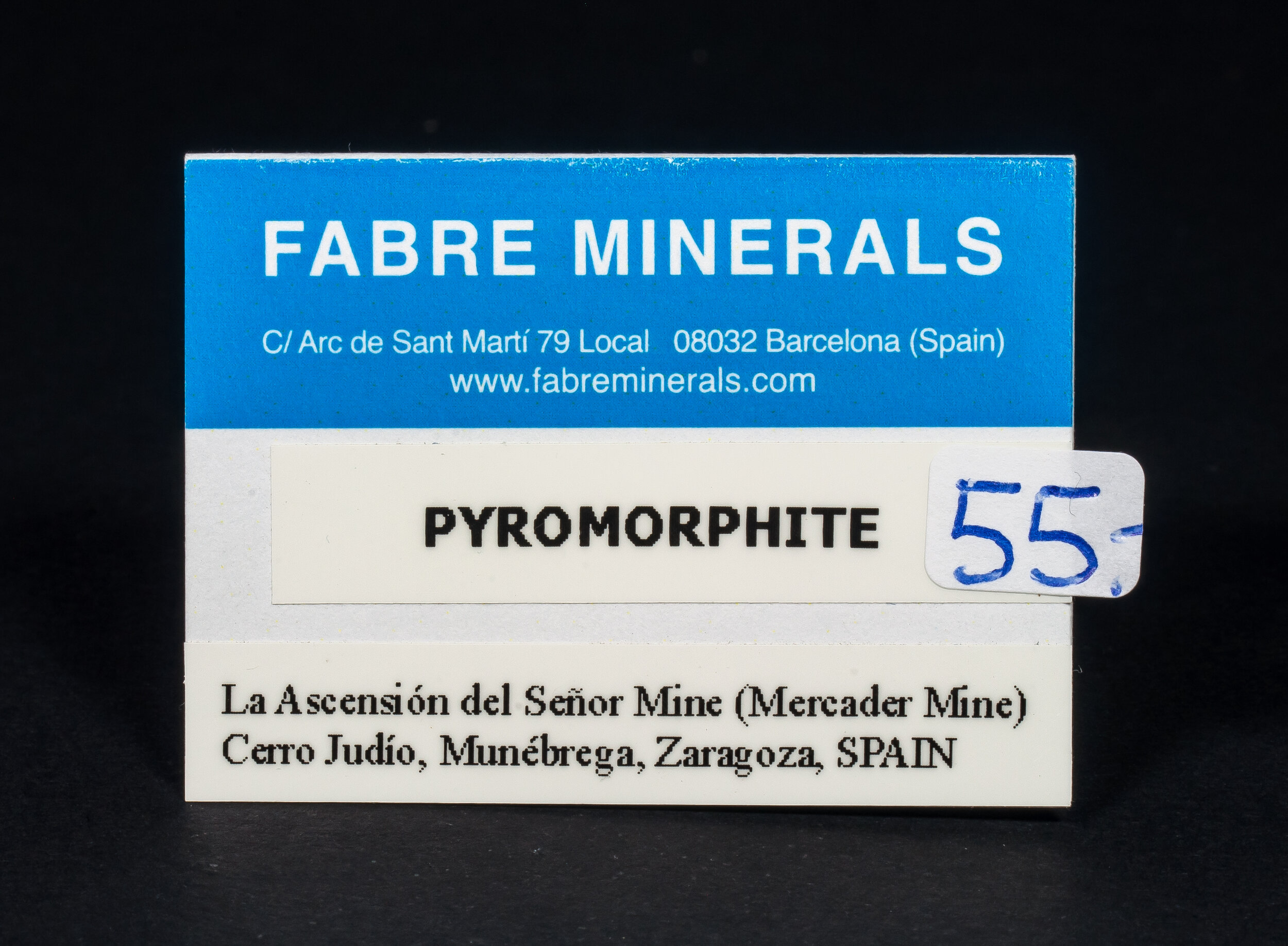 specimens/s_fastAP3/XM255NCB-label.jpg