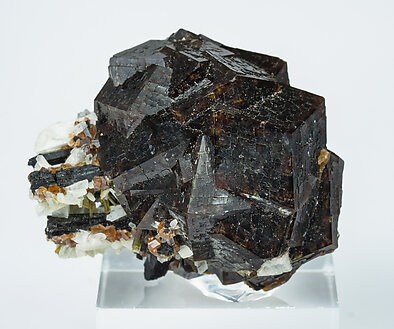 Andradite with Epidote, Albite and Titanite.