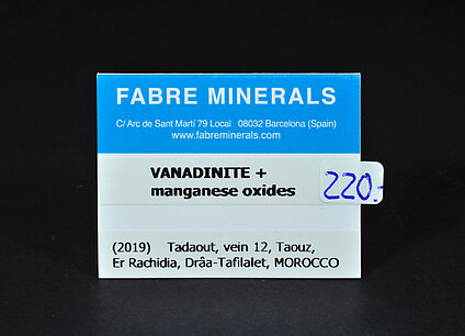 Vanadinite with manganese oxides
