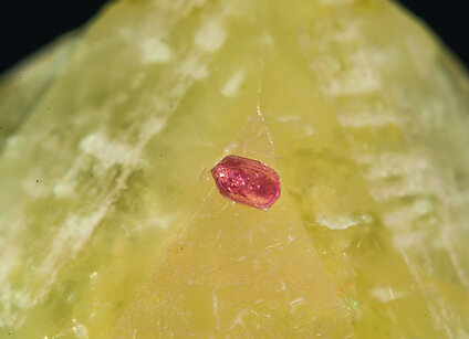 Rhodizite with Tourmaline (Group). 