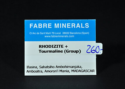 Rhodizite with Tourmaline (Group)