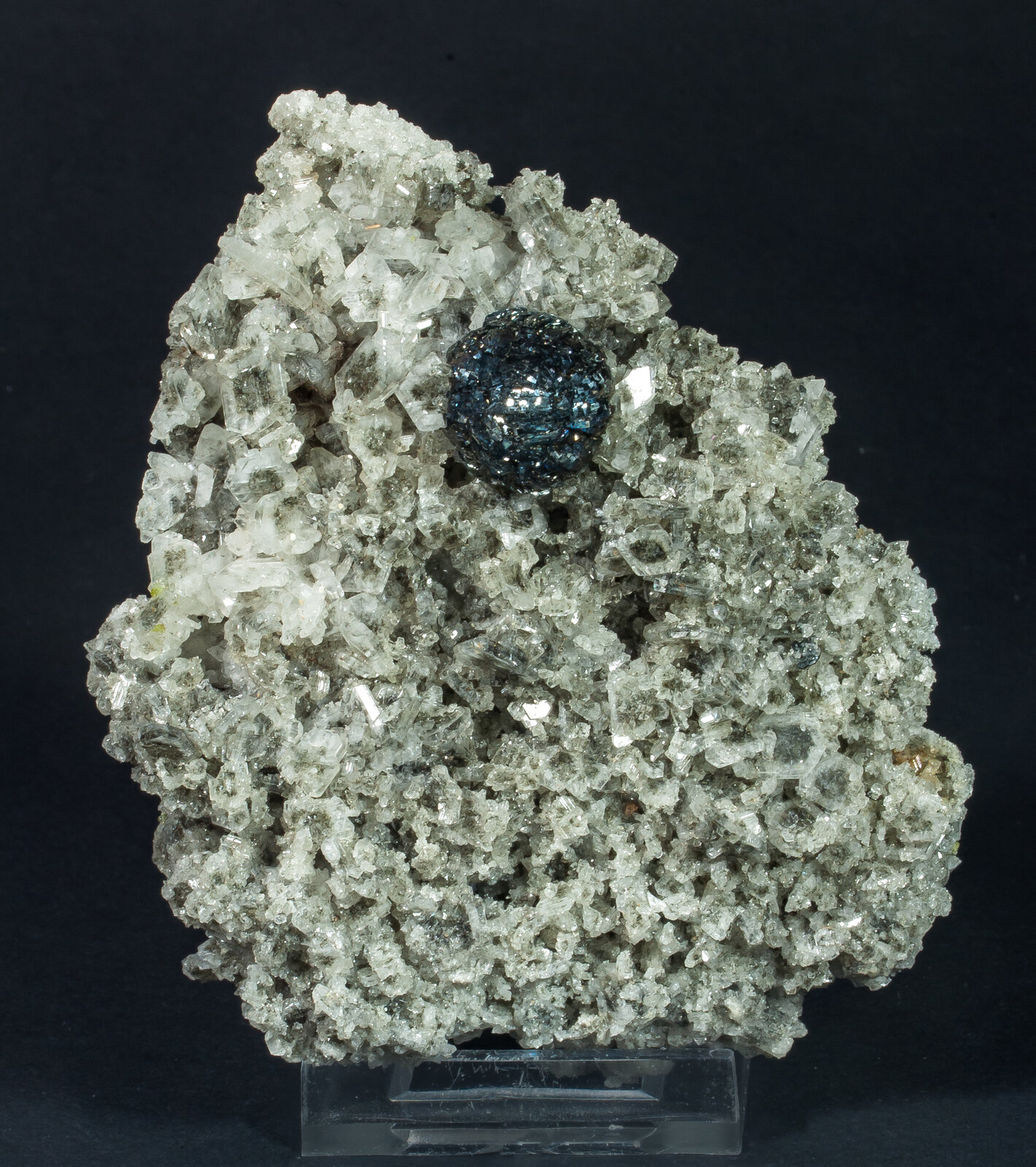 specimens/s_fastAP5/SV460TBM.jpg