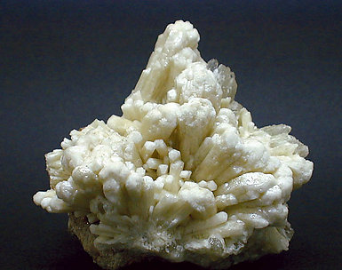 Aragonite (variety tarnowitzite).