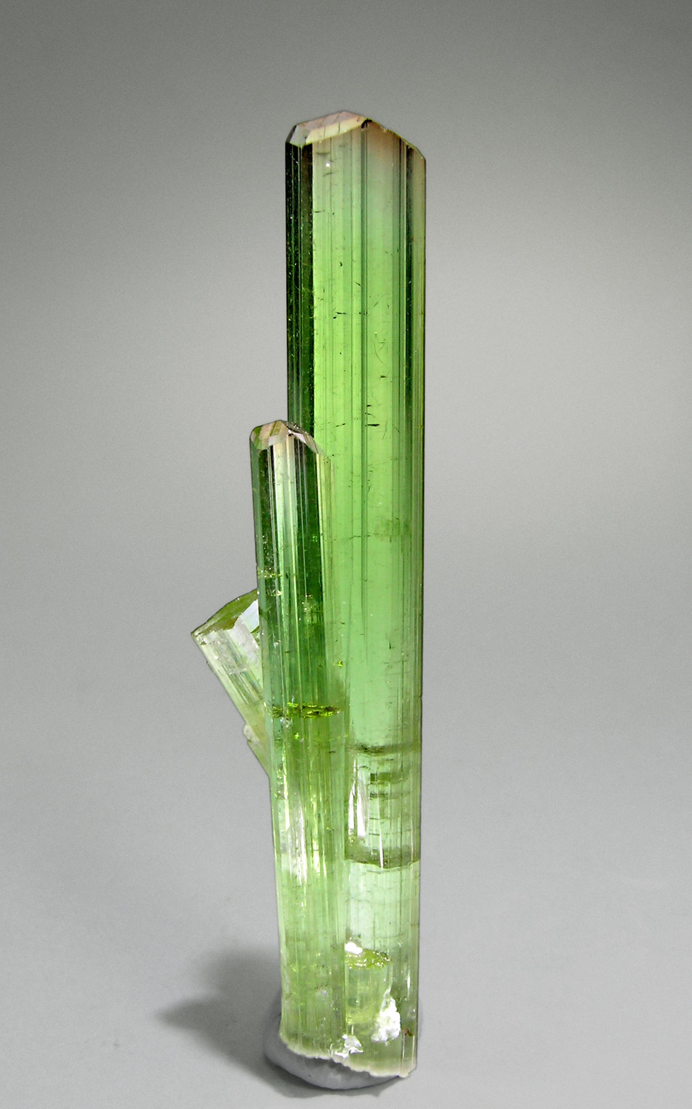 specimens/s_images35/Elbaite-Tourmaline-TG31C5f.jpg