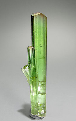 Elbaite. Front