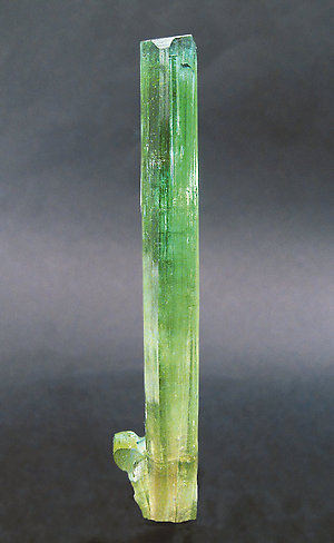 Elbaite (Tourmaline). 