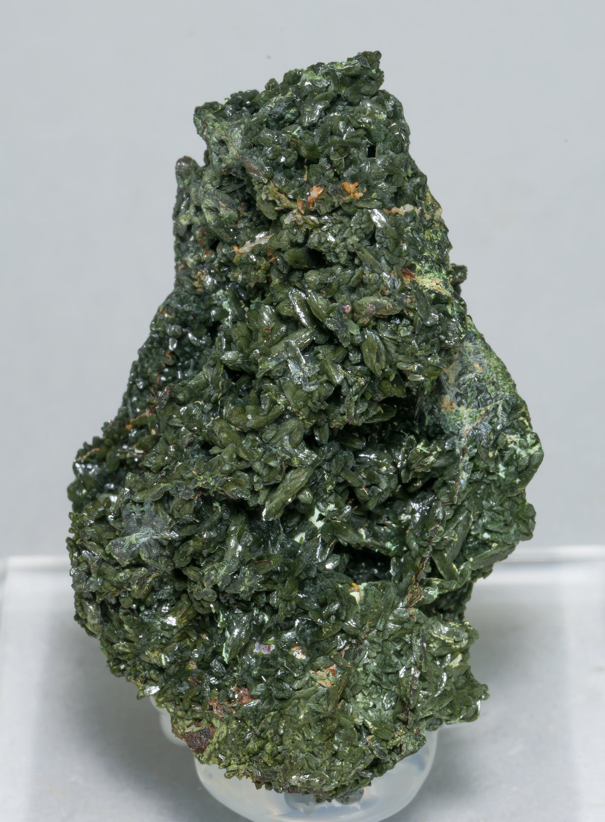 specimens/s_imagesAA1/Olivenite-EP99AA1f.jpg