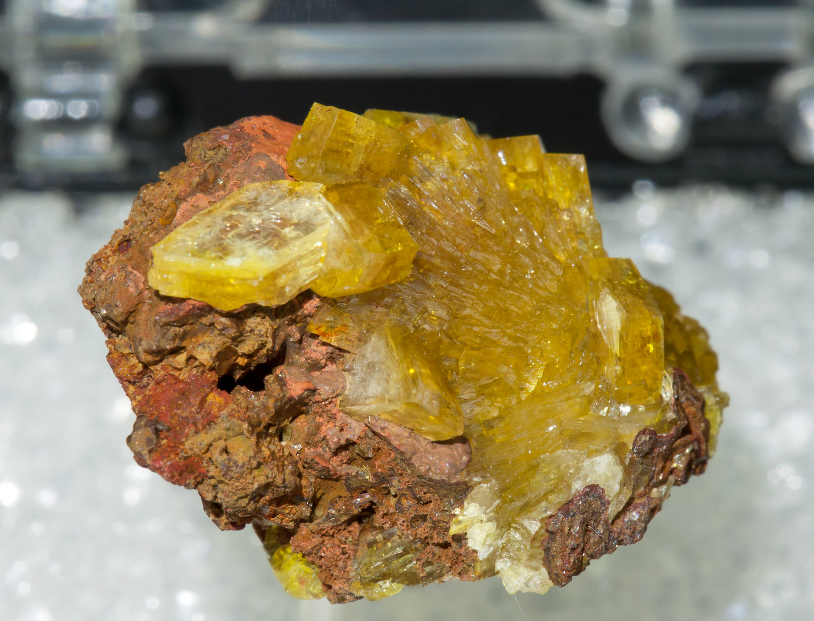 specimens/s_imagesAA1/Paradamite-EH10AA1f.jpg