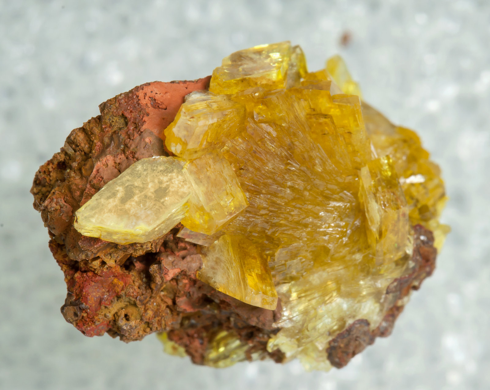 specimens/s_imagesAA1/Paradamite-EH10AA1t.jpg